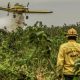 comite-avanca-para-fortalecer-