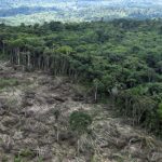 desmatamento-da-amazonia-caiu-