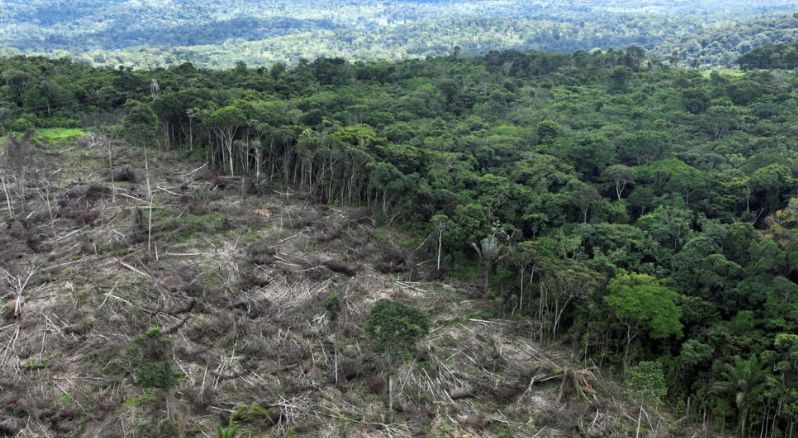 desmatamento-da-amazonia-caiu-
