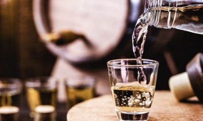 manifesto-da-cachaca-setor-faz