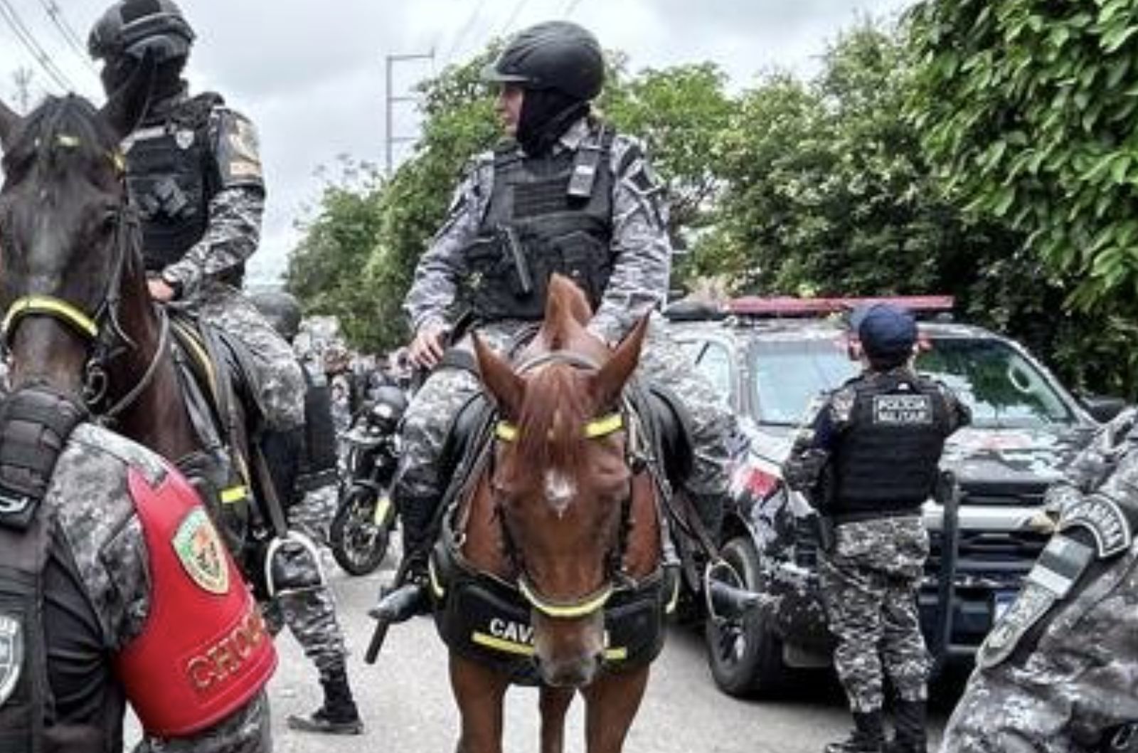 mpam-diz-que-transferencia-de-