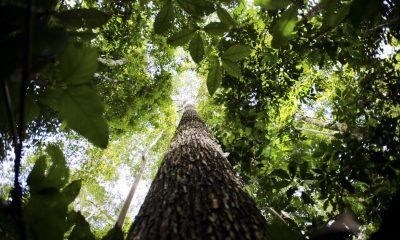 no-amazonas-juizado-condena-em