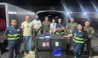 onca-resgatada-em-manaus-viaja