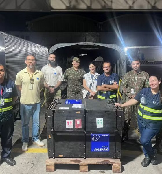 onca-resgatada-em-manaus-viaja