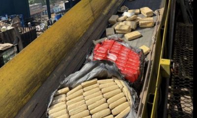 policia-federal-incinera-cinco