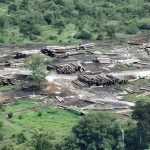 reu-e-condenado-a-pagar-r-84-m