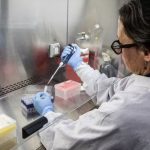 risco-do-surto-de-hantavirus-p