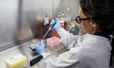risco-do-surto-de-hantavirus-p