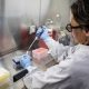 risco-do-surto-de-hantavirus-p