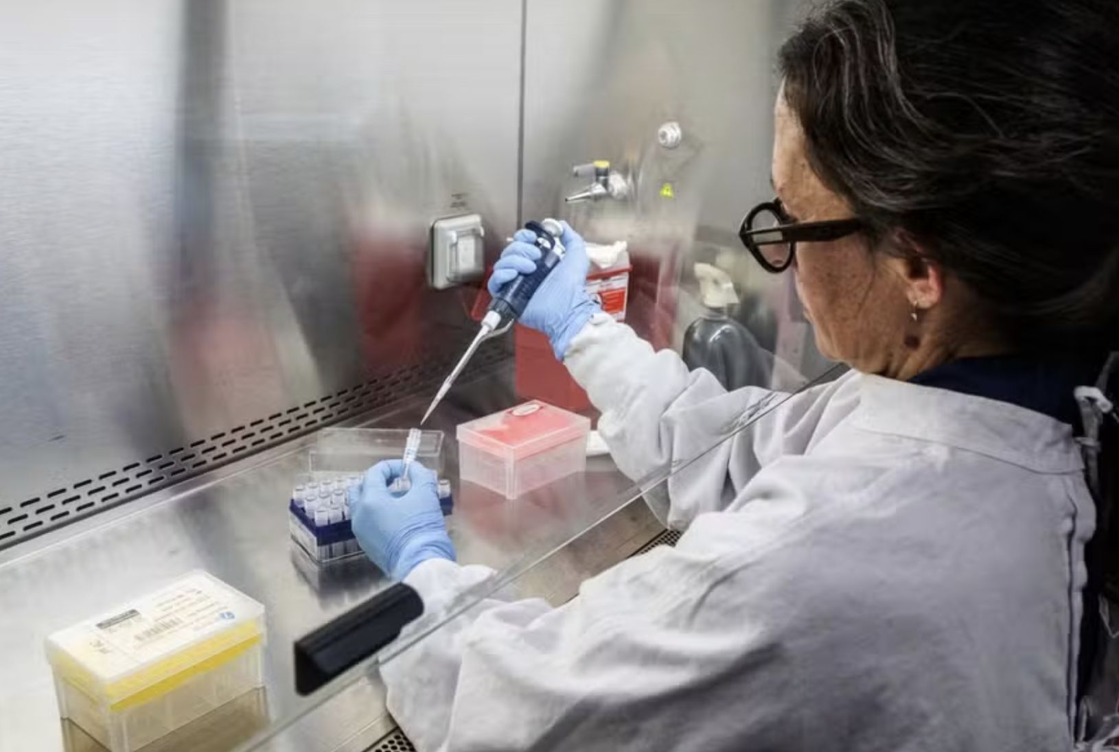 risco-do-surto-de-hantavirus-p