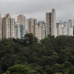 stf-vai-discutir-possibilidade