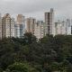 stf-vai-discutir-possibilidade