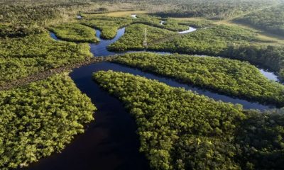unidades-de-conservacao-da-ama