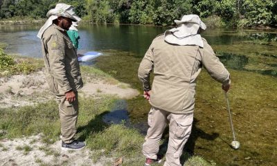 amazonas-registra-queda-de-qua