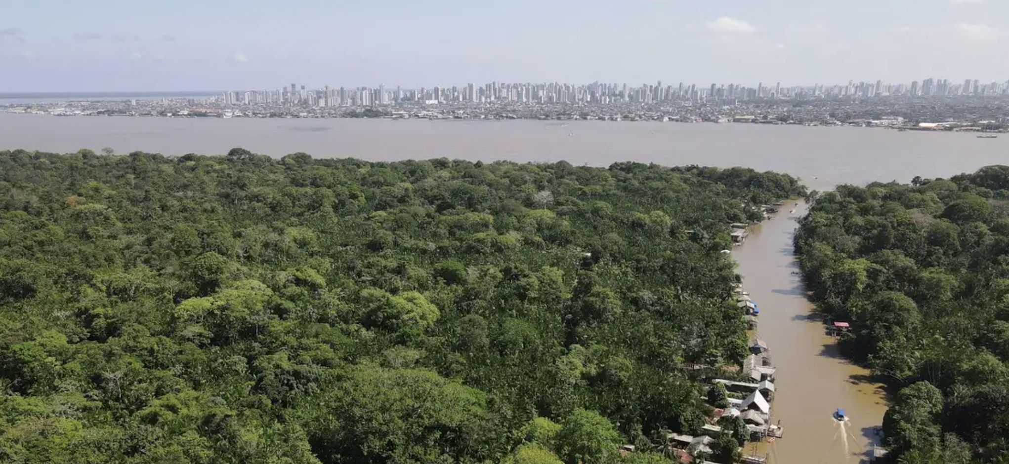 amazonia-recupera-superficie-d