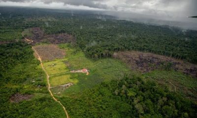desmatamento-na-amazonia-cai-6