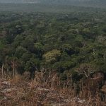 desmatamento-na-amazonia-recua