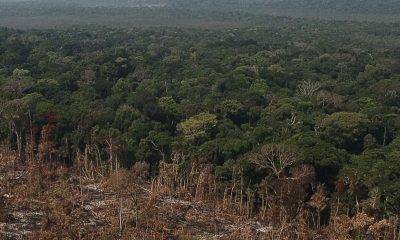 desmatamento-na-amazonia-recua