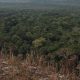 desmatamento-na-amazonia-recua