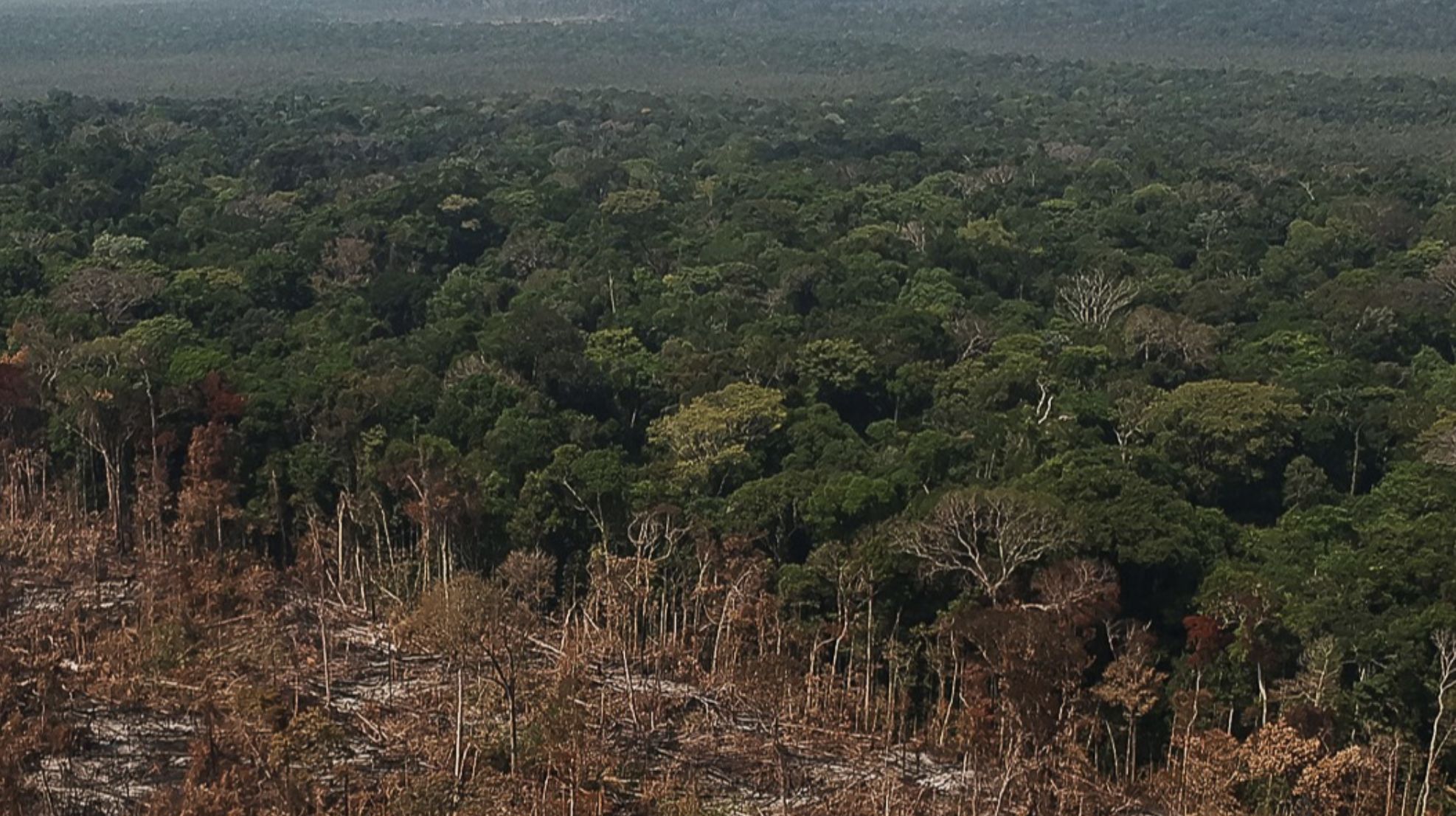 desmatamento-na-amazonia-recua