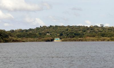 fundo-amazonia-destina-r-150-m