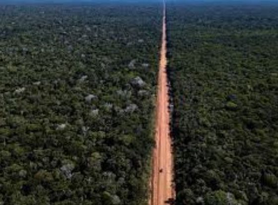 governo-federal-lanca-edital-d