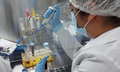 inpa-pesquisa-com-nanotecnolog