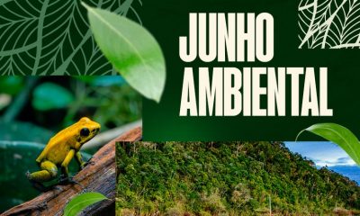 junho-ambiental-mpf-e-anm-defi