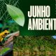 junho-ambiental-mpf-e-anm-defi