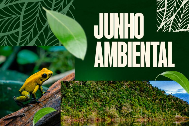 junho-ambiental-mpf-e-anm-defi
