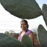 mulheres-comandam-producao-em-