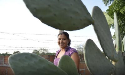 mulheres-comandam-producao-em-