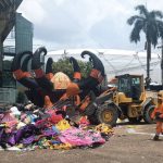 tce-am-julga-procedente-repres