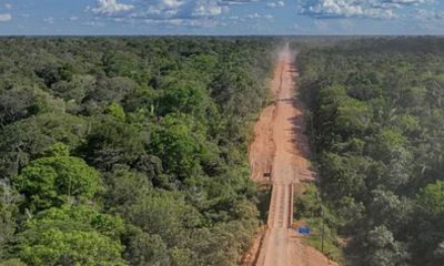 wwf-brasil-reconhece-importanc