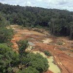 amazonia-legal-concentra-quase