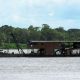amazonia-legal-mpf-recomenda-a