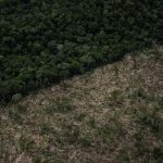 estudo-aponta-que-falta-de-emp