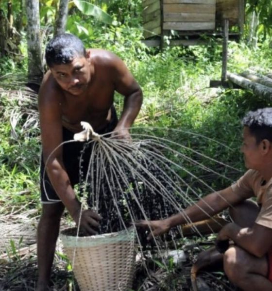 governo-federal-pagara-extrati