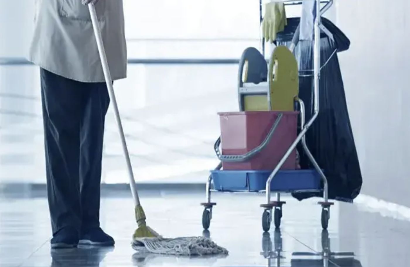 ibge-setor-de-servicos-no-amaz