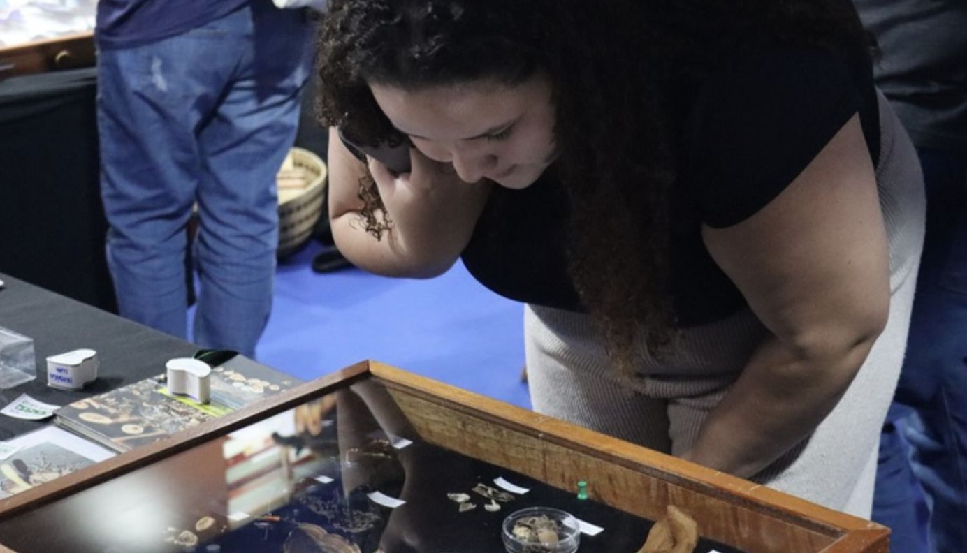inpa-apresenta-estande-interat