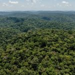 mais-de-80-das-areas-protegida