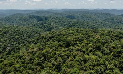 mais-de-80-das-areas-protegida