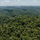 mais-de-80-das-areas-protegida