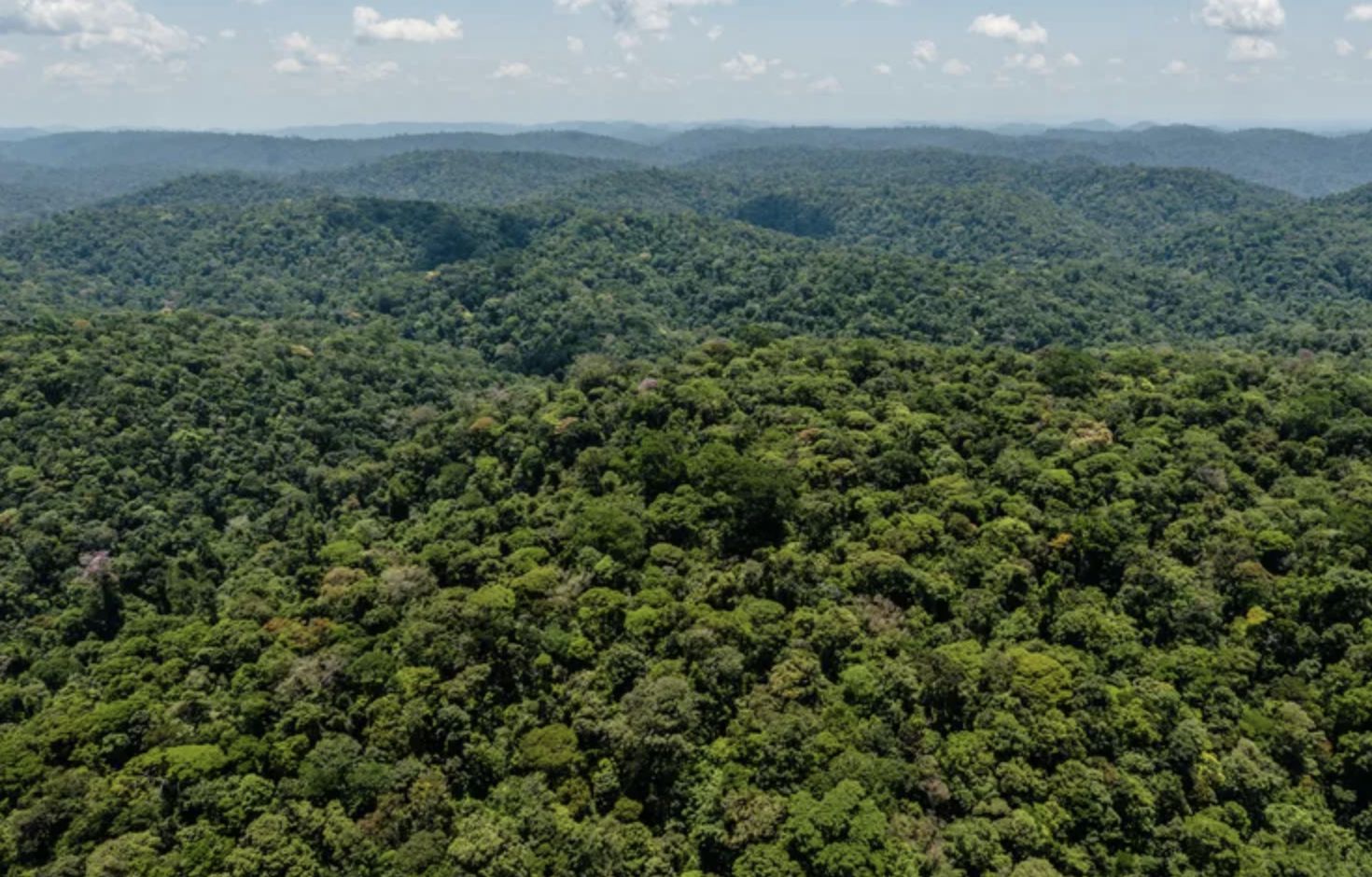mais-de-80-das-areas-protegida