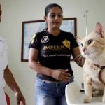 manaus-abre-agendamento-para-c