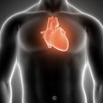 microplasticos-sao-encontrados