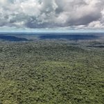 nova-ofensiva-antiambiental-ca
