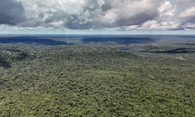nova-ofensiva-antiambiental-ca