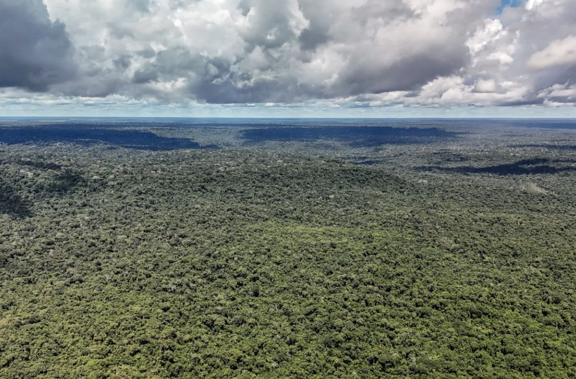 nova-ofensiva-antiambiental-ca