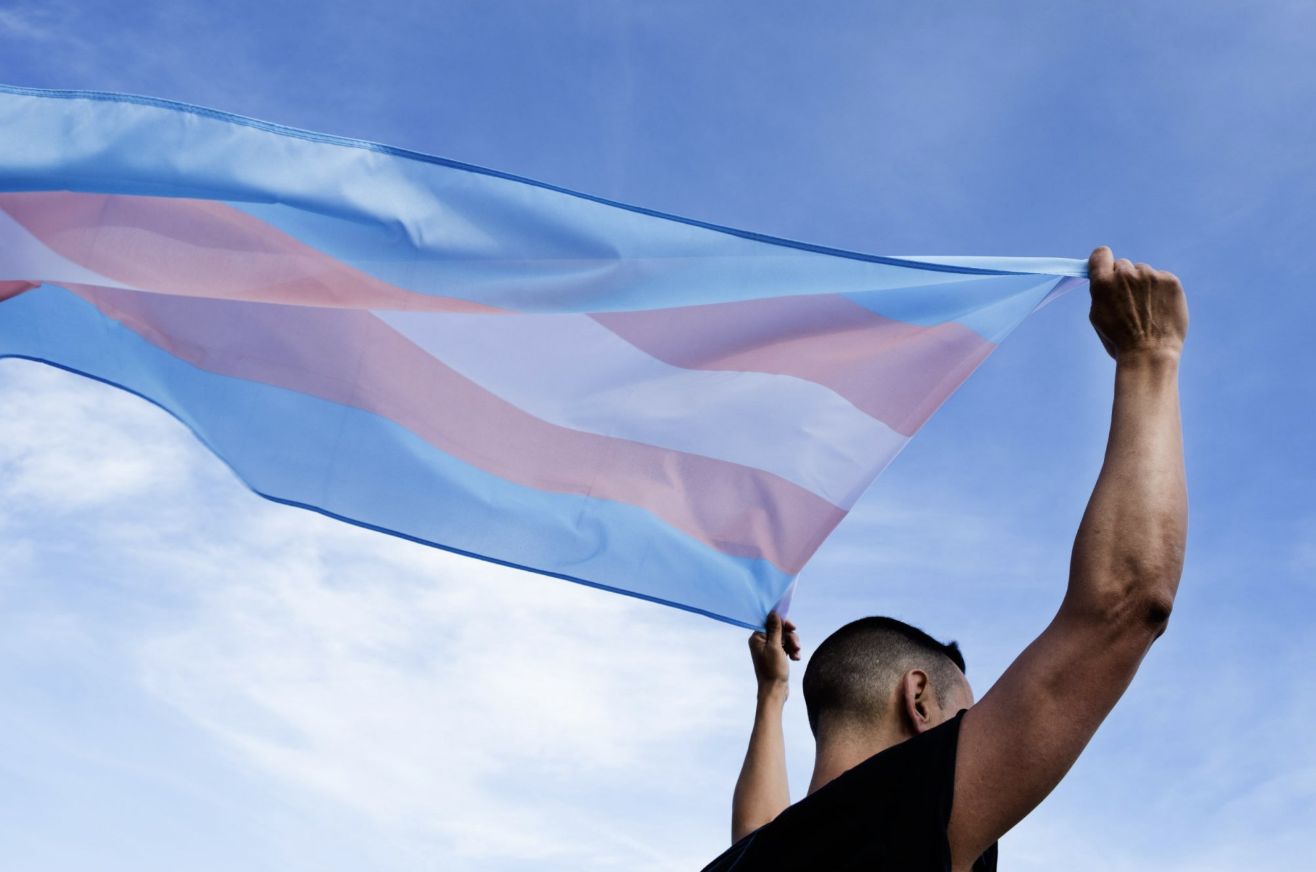 ong-revela-que-pessoas-trans-e